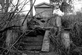 1000 Steps Spokane Haunted Stairway At Greenwood Memorial Terrace The Stairs Are Now Cleared But It Is Still Co Haunted Places Most Haunted Places 1000 Steps