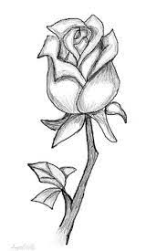A Drawn Rose | Easy Graffiti Drawings, Roses Drawing, Easy Graffiti