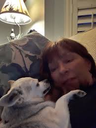 Thank you to everyone who stopped by to support Bella today at Sanford Pop  Up Palooza It was a long, hot day, but she stuck it out with only a couple  breaks.