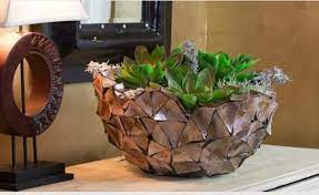 / è l´ideale per consentire a rampicanti fioriti di in altre parole, per un cactus non va assolutamente bene un fertilizzante di norma utilizzato per piante ornamentali, a foglia o da frutto. Fioriere Con Piante Grasse Decorate Con Cusci Di Frutti Di Mare Come Arredare Con Le Piante Grasse Trucchi E Suggerimenti Utili In Una Fioriera Nel Tronco Il Rispetto Per La