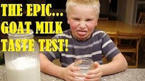 Epic Goat Milk Taste Test Youtube