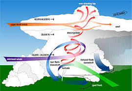 Trąba powietrzna przejdź do galerii. Tornado Wikipedia Wolna Encyklopedia