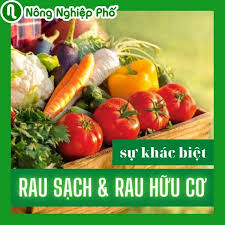 Phân biệt cách trồng rau hữu cơ và cách trồng rau sạch | Nông nghiệp p