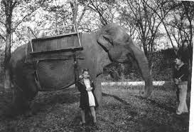 You are in the right place and time to meet your ambition. The Robinson Circus Terrace Park Historical Society