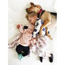 We did not find results for: Studie Hunde Als Haustier Machen Babys Gesunder Brigitte De
