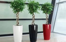 Lechuza Rondo Krukke H 56 H 75 Selvvander Krukker Planters and balcony boxes with intelligent irrigation from lechuza. lechuza rondo krukke h 56 h 75 6 farver
