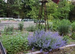 Maybe you would like to learn more about one of these? 31 Best Flowers To Grow For Vegetable Gardens To Attract Beneficial Insects Hidden Springs Homestead