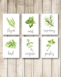 Herb Kitchen Decor Herbs Kitchen Wall Art Kitchen Herbs Decor Kitchen Art Green Herbs Herb Prints Herbs Sign For Herb Prints Kitchen Art Watercolor Herbs