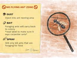 If you are dealing with an infestation of carpenter ants, your first reaction might be to call a local pest control company that specializes in. What To Do About Flying Ants In Your Home