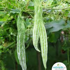 We did not find results for: Snake Gourd Health Benefits Nutrition Uses For Skin And Hair Recipes Side Effects