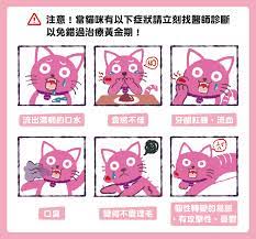 毛孩知識家 讓無數鏟屎官聞風喪膽的 貓口炎 怎麼破 阿公阿嬤碎碎唸 murmur denver karen comics peanuts comics art