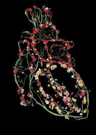 Check spelling or type a new query. Human Heart With Flowers By Tuuche80 On Deviantart