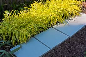 According to the walmart website, no they do not sell prevagen, an apparent memory supplement.however they do sell similar memory supplements.click here to visit the walmart website. 16 X16 Stepping Stones Natural Pavers Patios Walkways Dog Kennels 12 Pack Slate Walmart Com Walmart Com