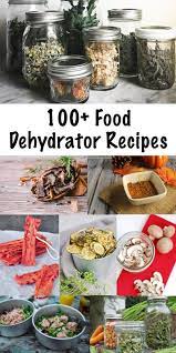 100 Dehydrator Recipes Food Dehydrator Recipes For Fruit Veggies Meat More Dehydrated Vegetables Dehydrator Recipes Food Dehydration
