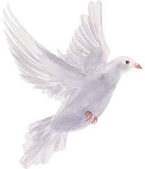 Mrs. Linda Louise Evans Hammonds Obituary December 31, 2024