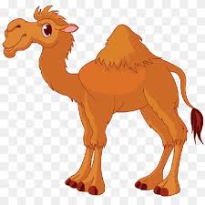 Sand up the nose can be a problem, but not for camels. Camel Cartoon Graphy Camel Mammal Animals Vertebrate Png Pngwing