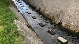 Growing up in Marian Row