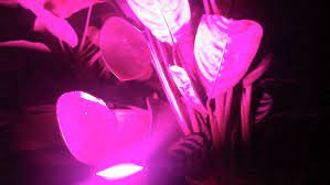 Check spelling or type a new query. Led It Grow Stimulating Plant Growth With Neopixels Adafruit Industries Makers Hackers Artists Designers And Engineers