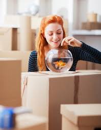 Search for appliance repair sarasota with us. Palm Springs Appliance Repair Techs Appliances Condo Advisor