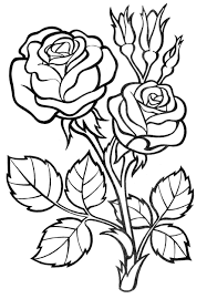 These flowers, durable and elegant, are among our favorites. Pin On Fruits And Vegetables Coloring Pages