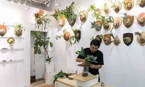 胞子葉と貯水葉 ２種類の葉を持つ エキゾチックなフォルムと 成長のしかたのユニークさで人気のビカクシダ 別名コウモリラン ビカクシダは樹木や岩などに付着して成長する着生シダ 原産地は東南アジアやオーストラリア マダガスカルなど 原種は18種類あると言