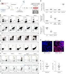Returns the last day of the week in the provided date, datetime, or datetimezone datetime. Generation Of Mature T Cells From Human Hematopoietic Stem And Progenitor Cells In Artificial Thymic Organoids Nature Methods