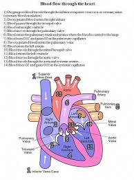 Best Nursing Schools Nursingschool Nursing School Survival Nursing School Studying Nursing School Notes