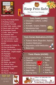 Maybe you would like to learn more about one of these? Pet First Aid Gilbert Az By Little Critters Vet