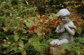 Birmingham Botanical Gardens Birmingham Botanical Gardens Garden Pictures Autumn Garden