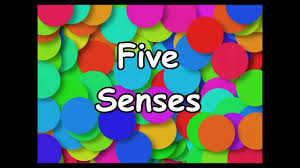 And have students work aloud with the teacher to identify the correct senses that correlate with the body parts displayed. 7 Effective Ways To Teach My Five Senses Mrs Richardson S Class