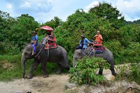 Kho hong, hat yai district, songkhla 90110, thailand. 30 Tempat Menarik Di Hatyai Krabi Songkhla 2020 Destinasi Terkini Paling Popular Adamani Travel