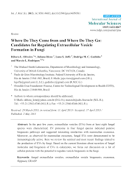 Luna chords by denise rosenthal. Where Do They Come From And Where Do They Go Candidates For Regulating Extracellular Vesicle Formation In Fungi Topic Of Research Paper In Biological Sciences Download Scholarly Article Pdf And Read