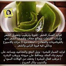 عصير الالوفيرا بدون إضافات مكوناته لب الألوفيرا بنسبة 98 ماء نقي بنسبة 2 عصير لب الصبار غني بالمواد ال Potions Recipes Dog Food Recipes Natural Dog Food