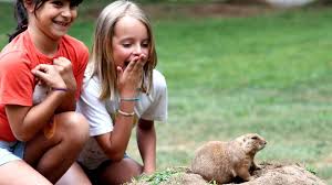 Zoo,santo inacio,vila nova de gaia. Zoo Santo Inacio Www Visitportugal Com