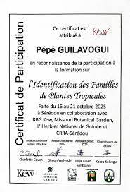 Image result for Nemum angolense