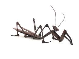 Explora las ediciones de praying mantis en discogs. Lot Japanese Myochin Bronze Articulated Praying Mantis