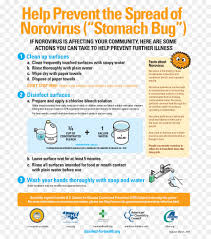 We have wide range of cartoons and anime that you can watch in hd and high quality for free. Patient Cartoon Png Download 768 1001 Free Transparent Norovirus Gastroenteritis Png Download Cleanpng Kisspng