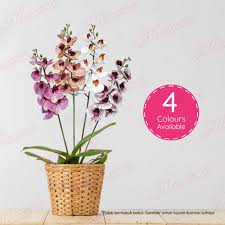 Berbagai berita terkait gambar bunga orkid putih dan tanaman lain nya juga dapat bapak ibu. Ly001 Artificial Butterfly Orchid Bunga Orkid Tiruan