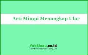 12 Arti Mimpi Menangkap Ular Yang Perlu Anda Ketahui