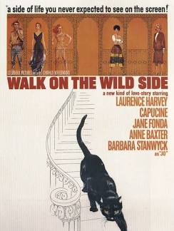 images?q=tbn:ANd9GcR3E6pDyW3mpSVUqCUC_dN