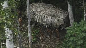 RÃ©sultat de recherche d'images pour "photo indiens d'amazonie dans bidonville"