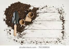Image Result For Garden Tool Belt Mockup Garden Tool Belt Tool Belt Garden Tools