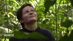 Une saison en indonesie replay. Une Saison En Indonesie Tous Les Episodes En Streaming France Tv