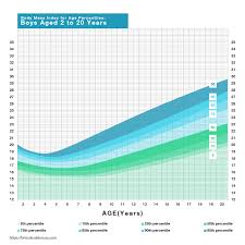 Free Bmi Calculator Calculate Your Body Mass Index