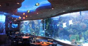 Check Out Romance Under The Sea At Aquarium Restaurant In Nashville On February 11 2017 And Get Underwater Restaurant Nashville Vacation Camping In Tennessee
