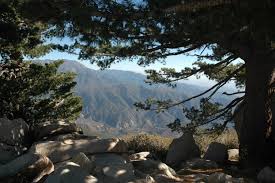 Maybe you would like to learn more about one of these? Best Hikes In San Bernardino National Forest Ca Trailhead Traveler
