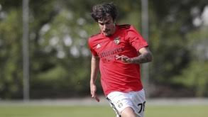 A equipa feminina de hóquei em patins do benfica voltou a patinar no pavilhão sob a orientação do técnico paulo paulo almeida: 5g6 6iropjt8m