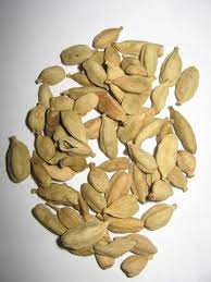 Testis atau disebut juga buah zakar merupakan argan vital alat reproduksi pria. My World Dunia Saya Khasiat Buah Pelaga