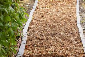 This is an example of a transitional partial sun mulch walkway in nancy for spring. Wood Chip Path Better Homes Gardens