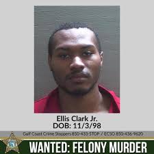 Man charged with felony murder for Ensley shooting last month